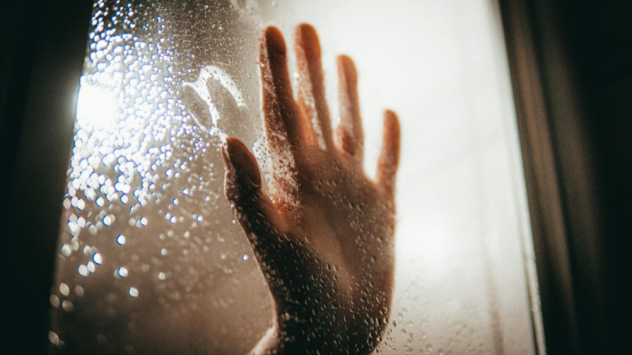 Kayıp Değilim, Kalmayı Seçtim